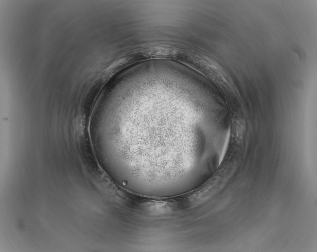 X0000112740326200909031511