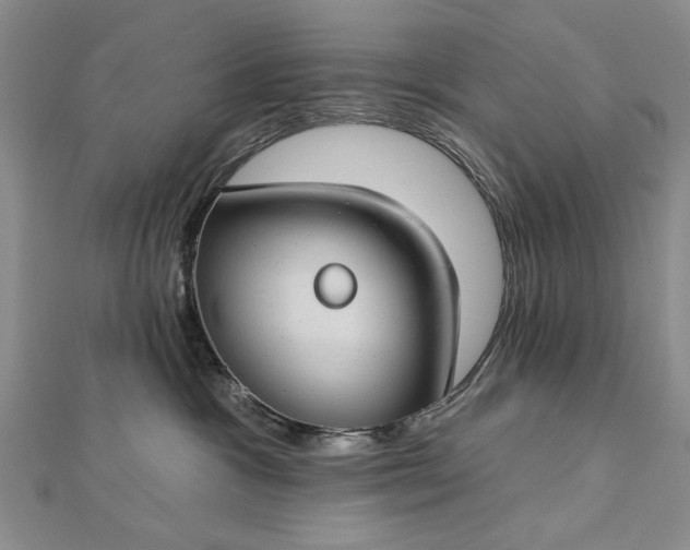 X0000112740333200909031511