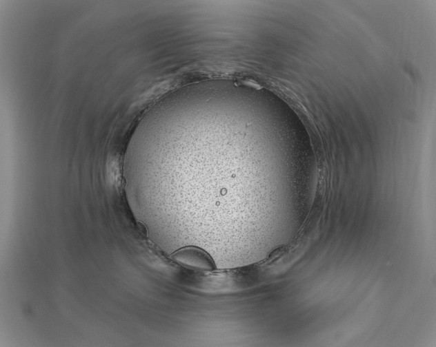 X0000112740335200909031511