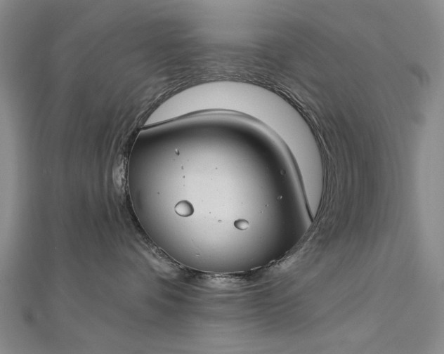 X0000112740336200909031511