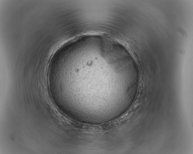 X0000112740337200909031510