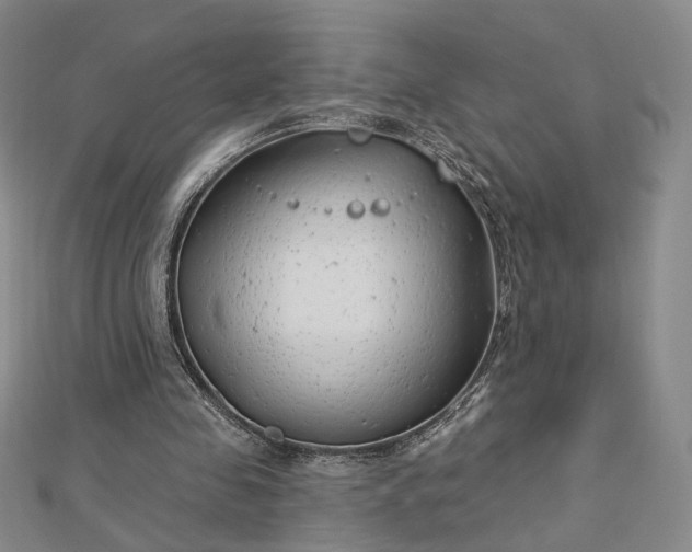 X0000112740341200909031510