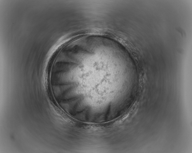 X0000112740343200909031510