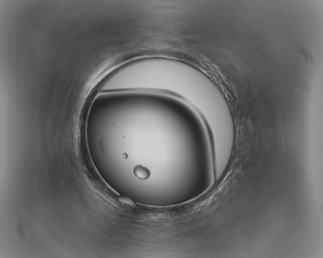 X0000112740344200909031510