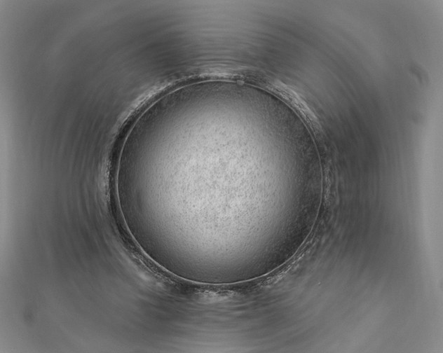 X0000112740346200909031510