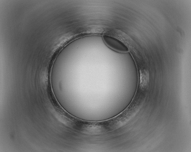 X0000112740348200909031511