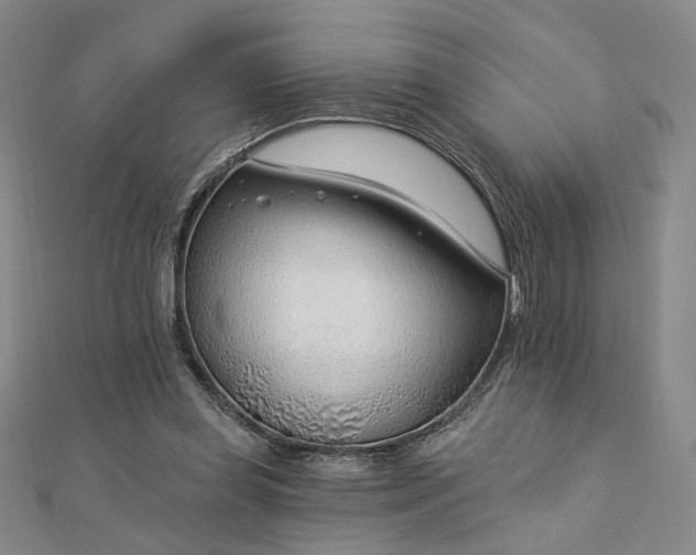 X0000112740349200909031511