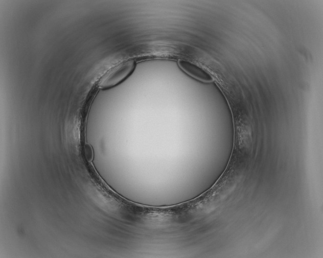 X0000112740350200909031511