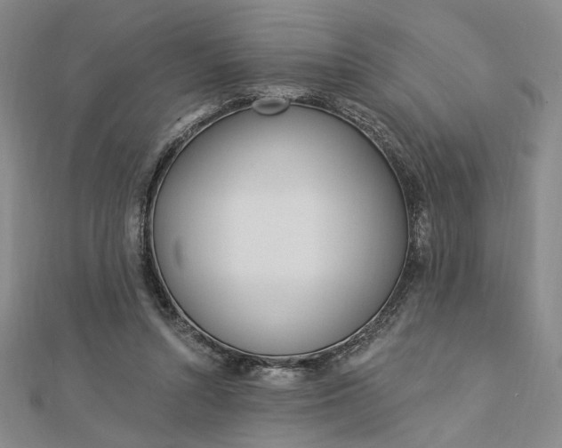 X0000112740352200909031511