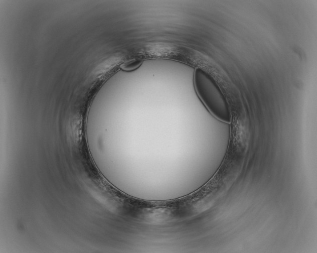 X0000112740356200909031511