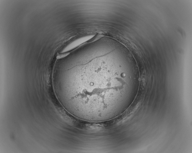 X0000112740359200909031511