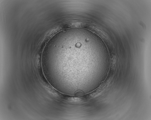 X0000112740361200909031511