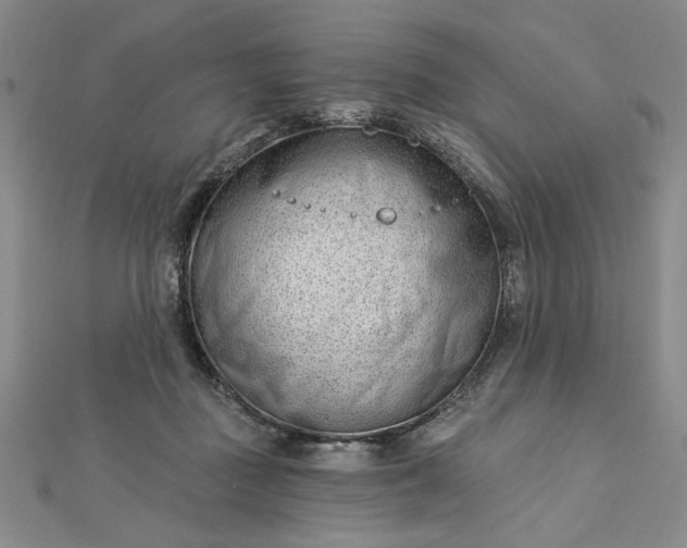 X0000112740363200909031511