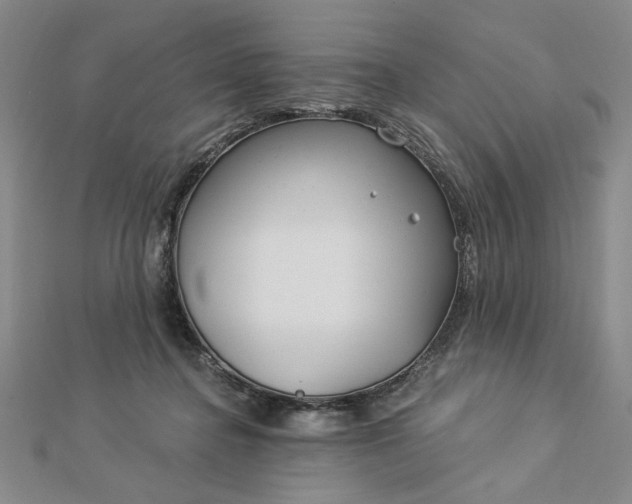 X0000112740364200909031511