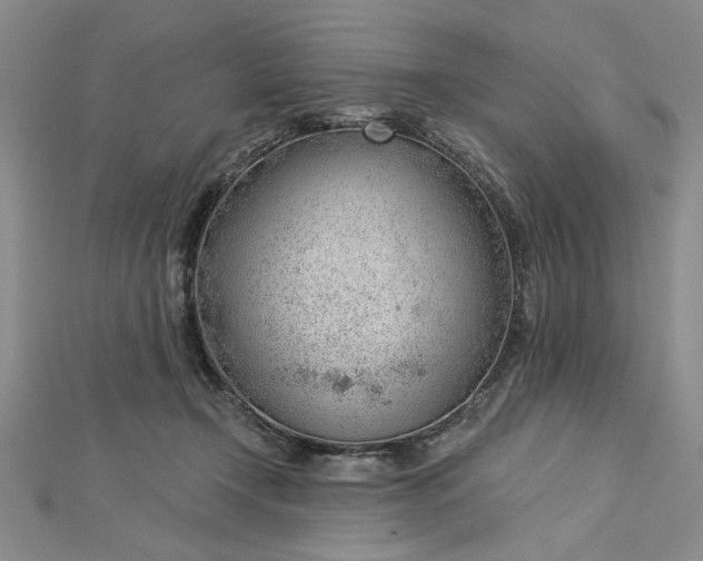 X0000112740366200909031511