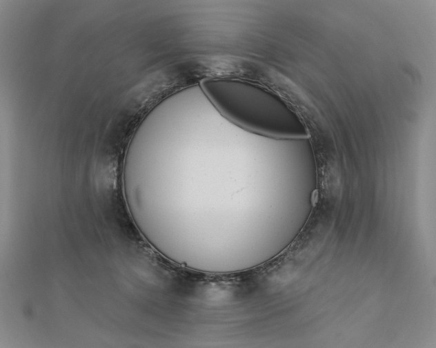 X0000112740368200909031511