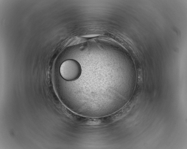 X0000112740369200909031511