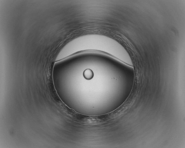 X0000112740372200909031511