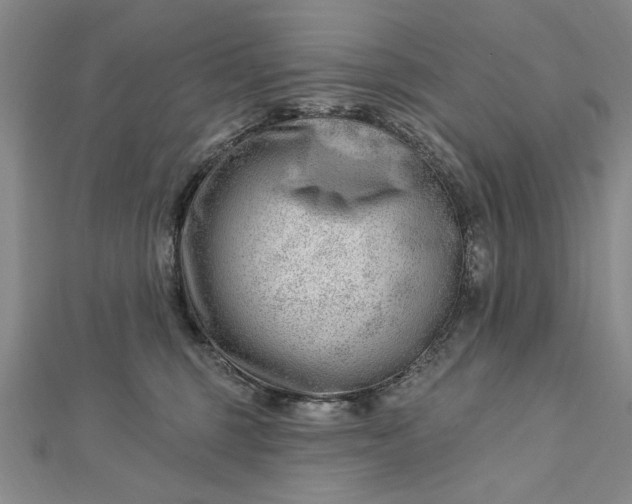 X0000112740375200909031511