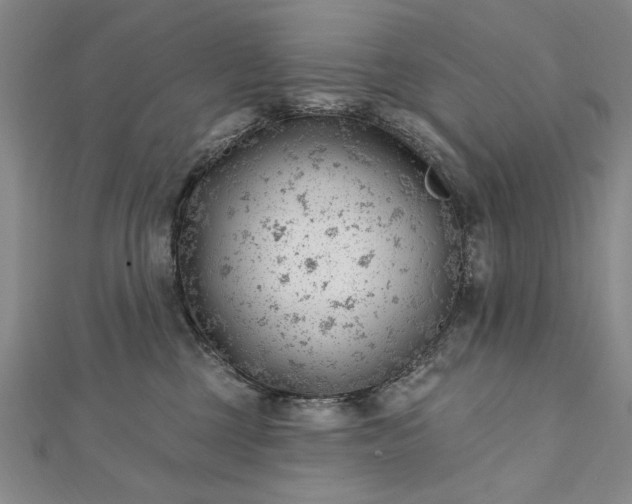 X0000112740377200909031511