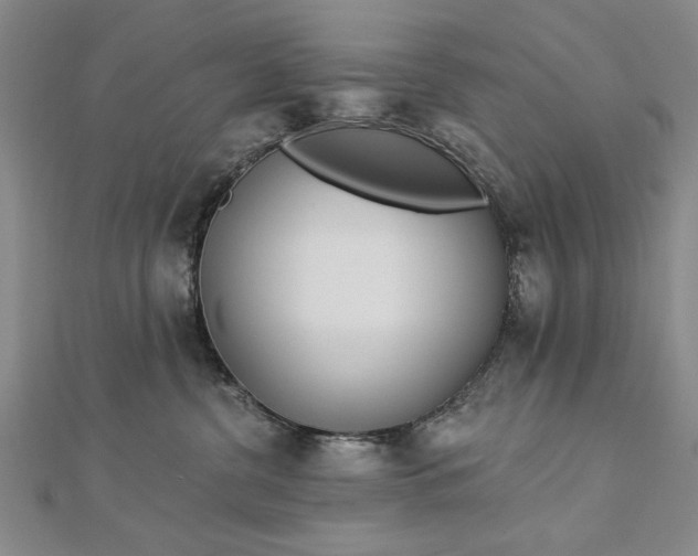 X0000112740380200909031511