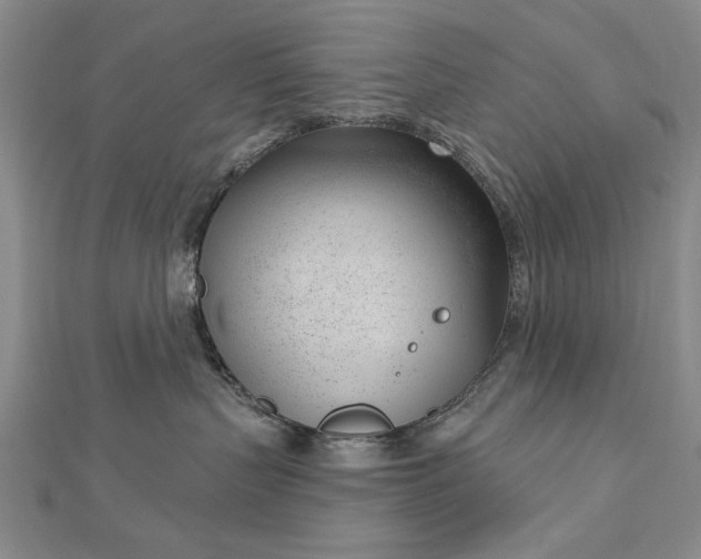 X0000112740383200909031511