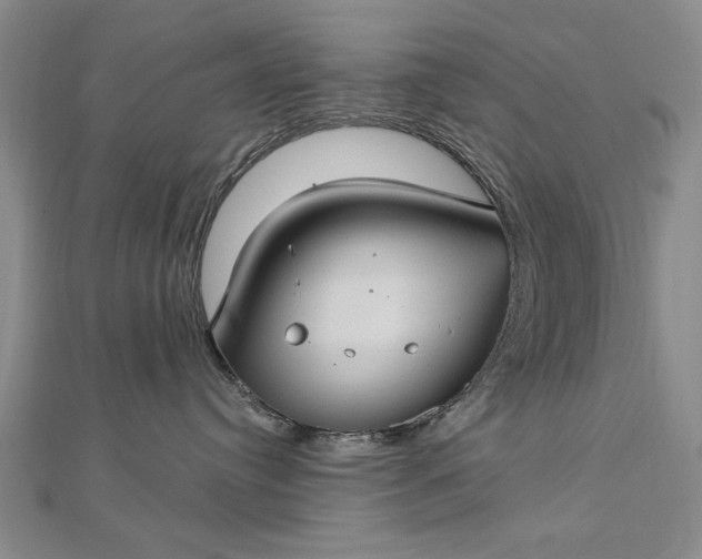 X0000112740384200909031511