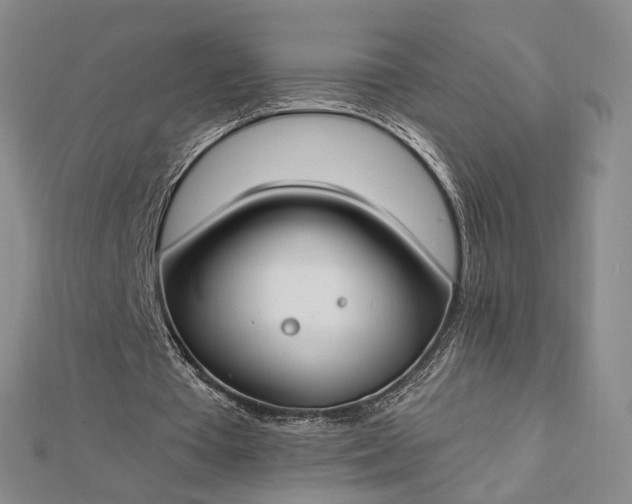 X0000112740385200909031510