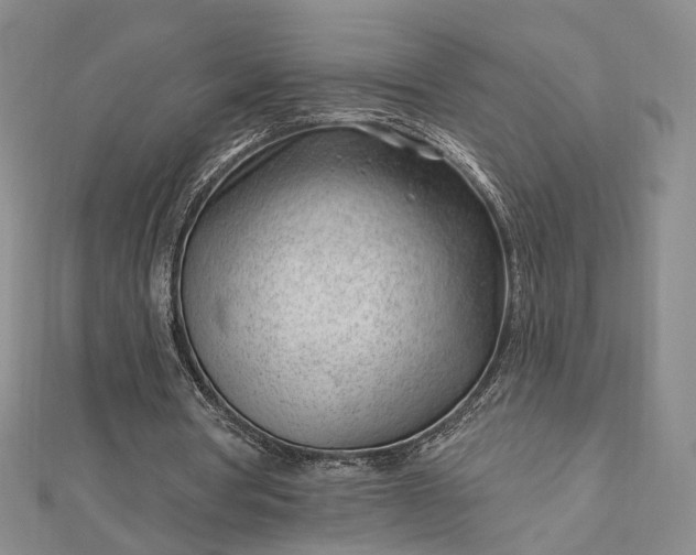 X0000112740386200909031510