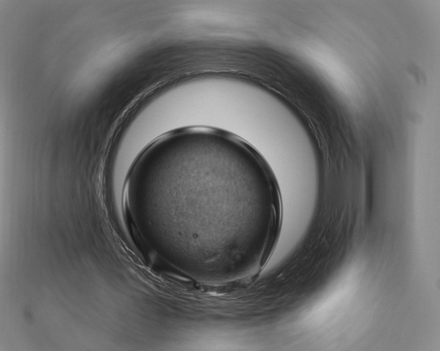 X0000112740387200909031510