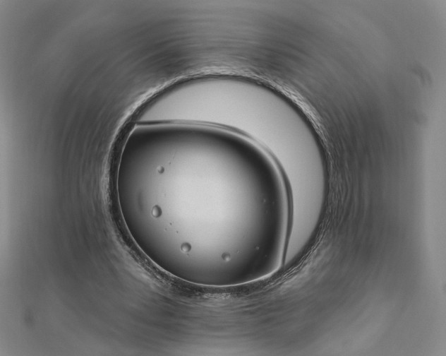 X0000112740391200909031510