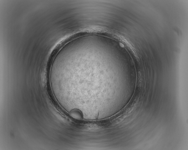 X0000112740392200909031510