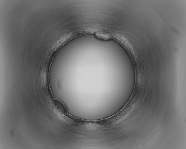 X0000112740393200909031510