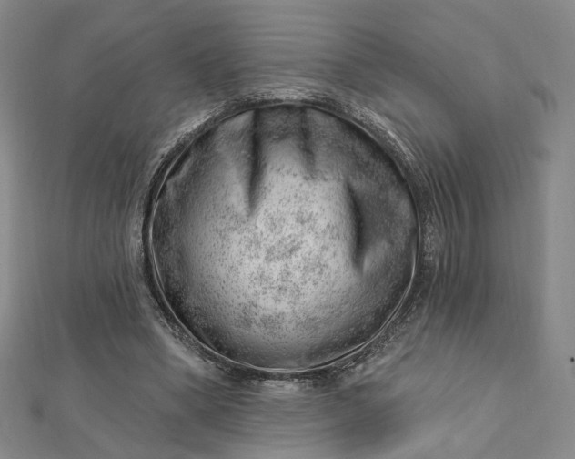 X0000112740394200909031510