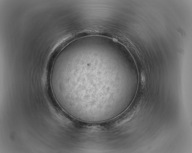 X0000112740396200909031510