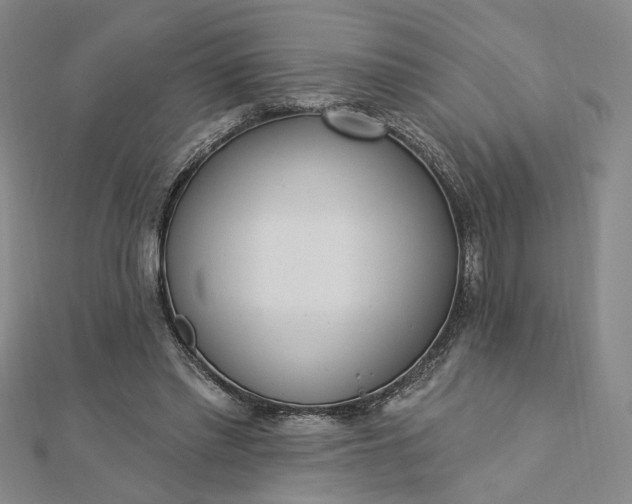 X0000112740397200909031510