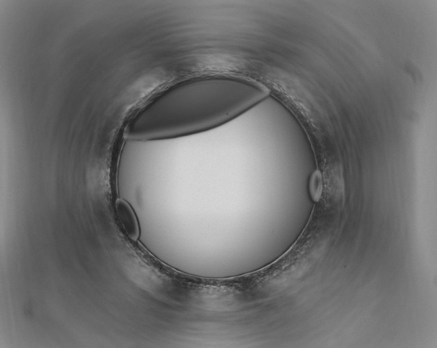 X0000112740399200909031510