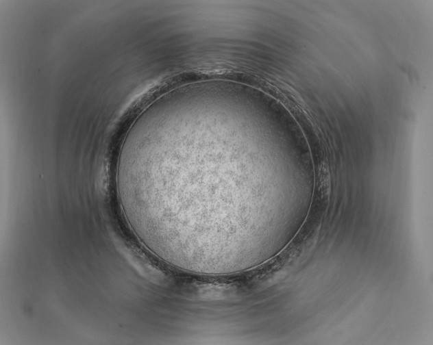 X0000112740400200909031510