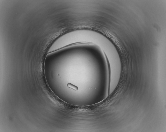 X0000112740401200909031510