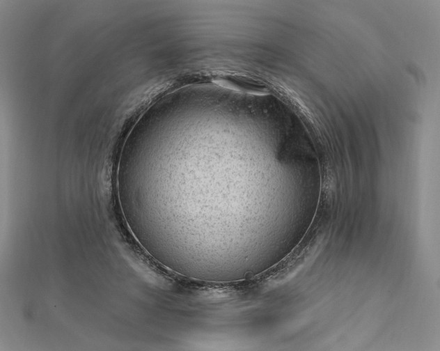 X0000112740402200909031510