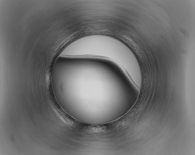 X0000112740405200909031510