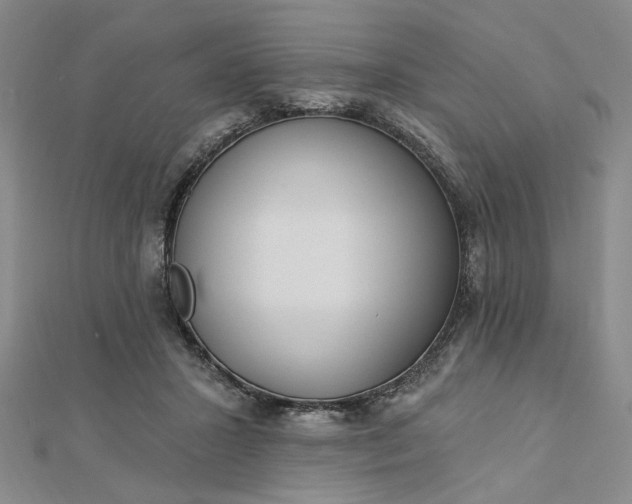 X0000112740407200909031510