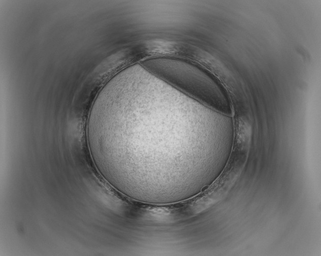 X0000112740409200909031510