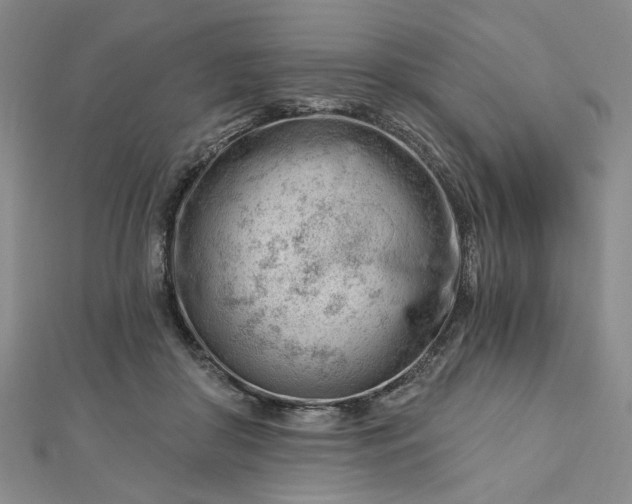 X0000112740410200909031510