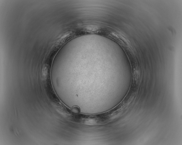 X0000112740412200909031510