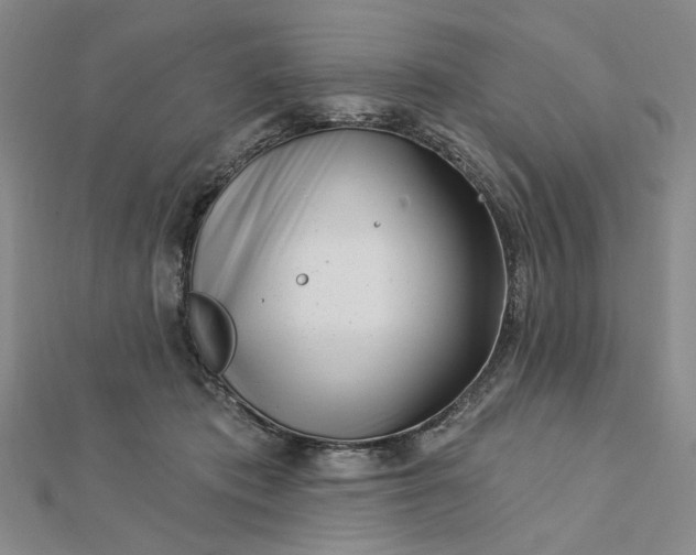 X0000112740413200909031510