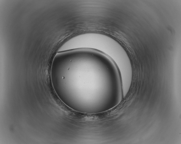 X0000112740415200909031510