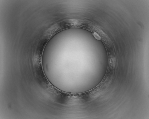 X0000112740419200909031510