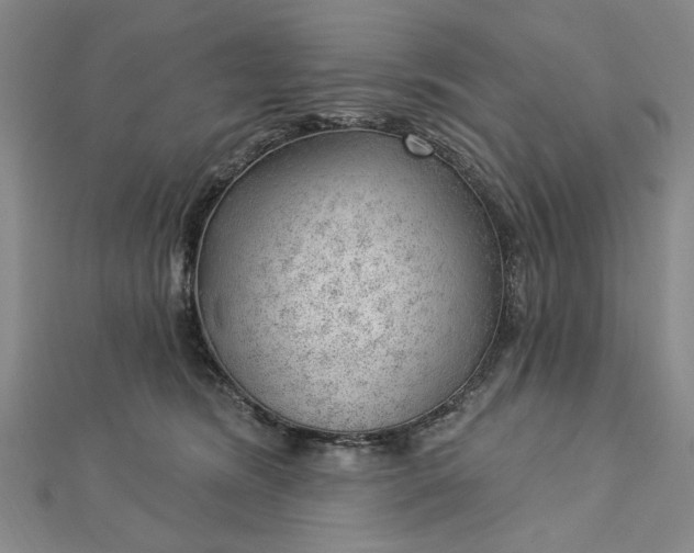 X0000112740420200909031510