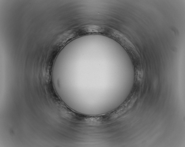 X0000112740422200909031510